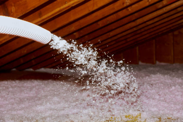 Best Fiberglass Insulation in Valdosta, GA