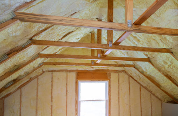 Best Eco-Friendly Insulation in Valdosta, GA