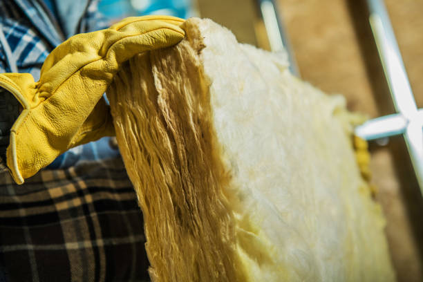 Best Commercial Insulation in Valdosta, GA